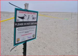 Protected wildlife area sign on Elmer’s Island beach, Louisiana